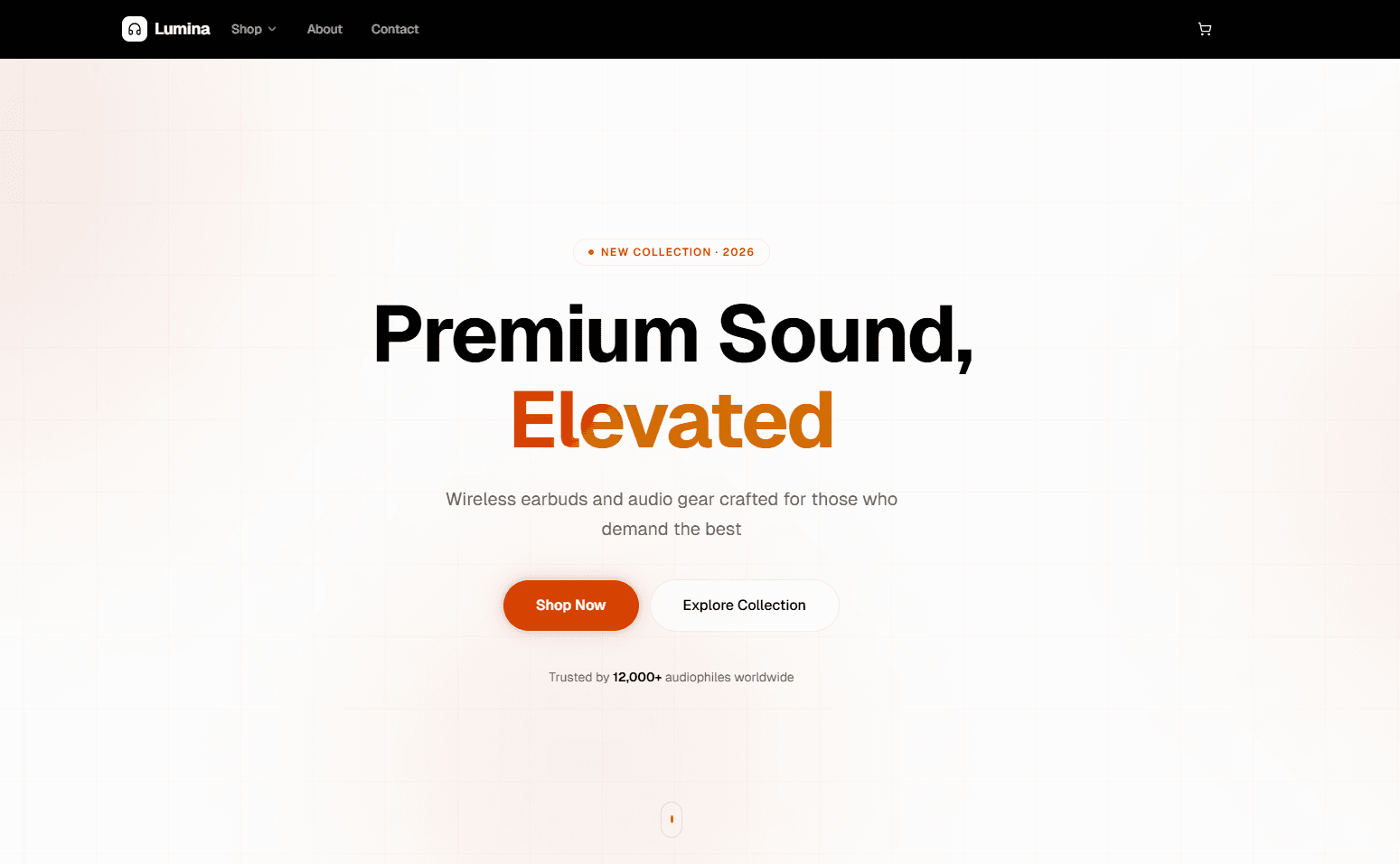 E-Commerce Platform screenshot